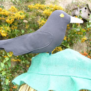 scarecrows studio shot